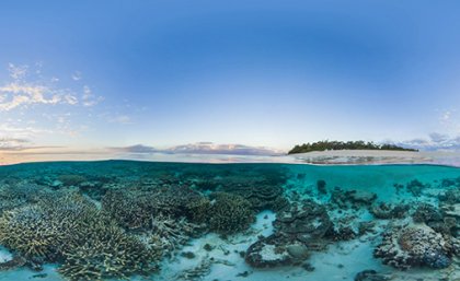 A picture of an ocean reef